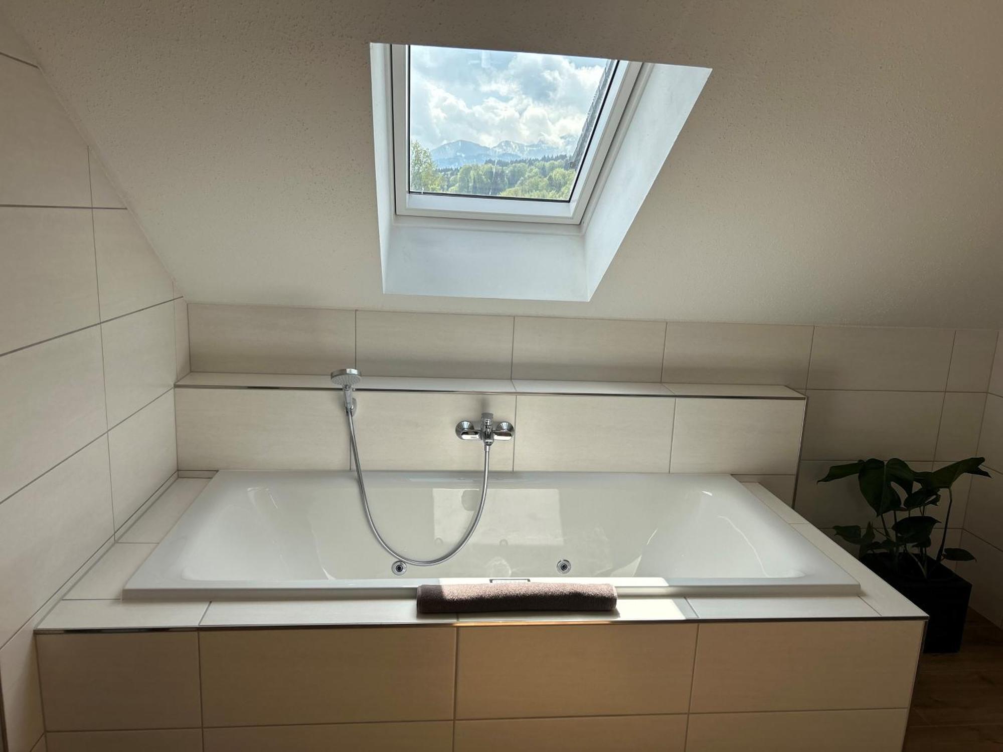 Steinbichler 3*